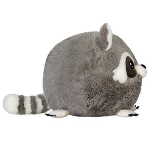 Squishable Baby Raccoon - Treasure Island Toys