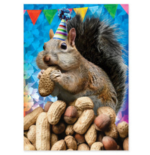 Greeting Card Birthday - Squirrel Go Nuts - Treasure Island Toys