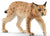 Schleich Lynx - Treasure Island Toys