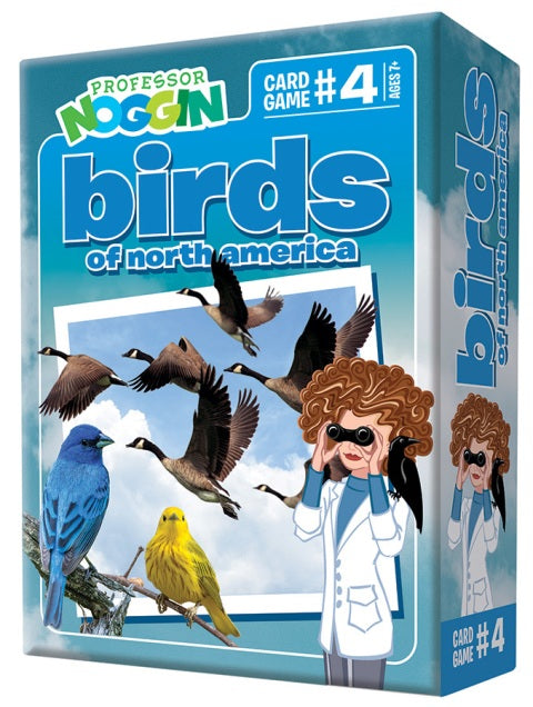 Professor Noggin's:  Birds of North America - Treasure Island Toys