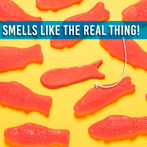 Crazy Aaron's Thinking Putty SCENTsory - Swedish Sweets - Treasure Island Toys