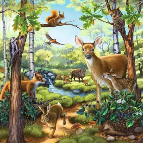 Ravensburger Puzzle 3 x 49 Piece, Forest, Zoo and Farm Animals - Treasure Island Toys
