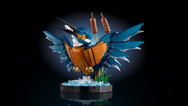 LEGO Icons Kingfisher - Treasure Island Toys