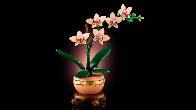 *COMING SOON* LEGO Botanical Collection Mini Orchid