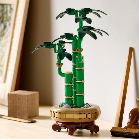LEGO Botanical Collection Lucky Bamboo 10344 - Treasure Island Toys