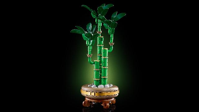 LEGO Botanical Collection Lucky Bamboo - Treasure Island Toys