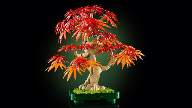 LEGO Botanical Collection Japanese Red Maple Bonsai Tree - Treasure Island Toys