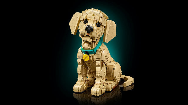 LEGO Icons Golden Retriever Puppy - Treasure Island Toys