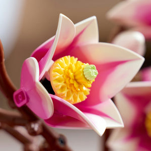 LEGO Botanical Collection Magnolia Branches - Treasure Island Toys