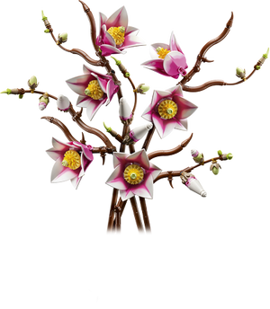 LEGO Botanical Collection Magnolia Branches - Treasure Island Toys