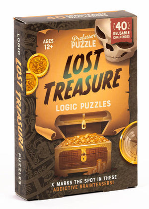 Professor Puzzle Logic Puzzles Lost Treasure - Treasure Island Toys