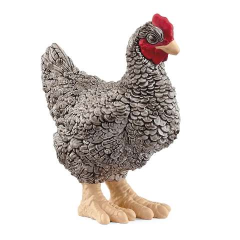 Schleich Plymouth Rock Chicken - Treasure Island Toys