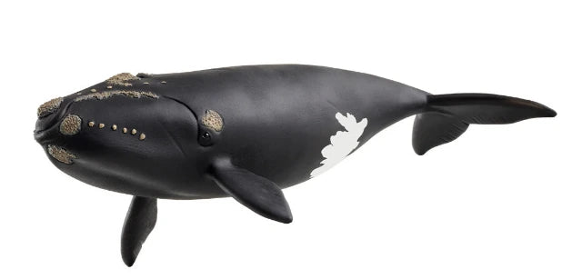 Schleich North Atlantic Right Whale - Treasure Island Toys