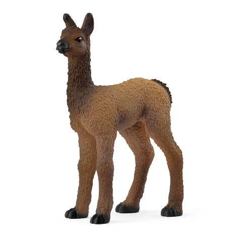 Schleich Llama Foal - Treasure Island Toys