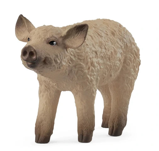 Schleich Mangalica Piglet - Treasure Island Toys