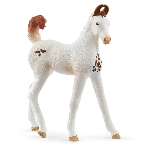 Schleich Marwari Foal - Treasure Island Toys