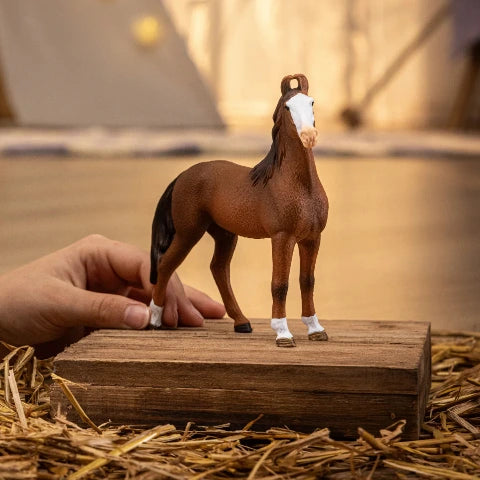 Schleich Marwari Mare