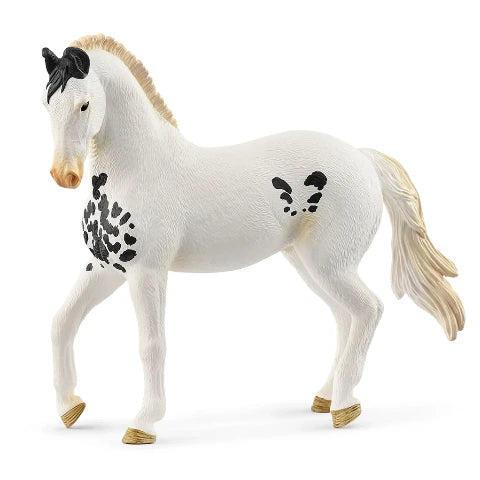 Schleich Marwari Stallion - Treasure Island Toys