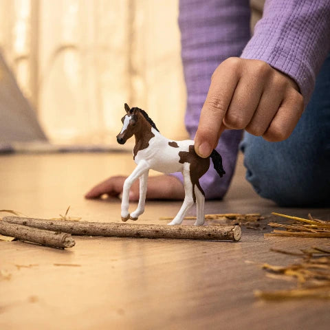 Schleich Paint Horse Foal - Treasure Island Toys