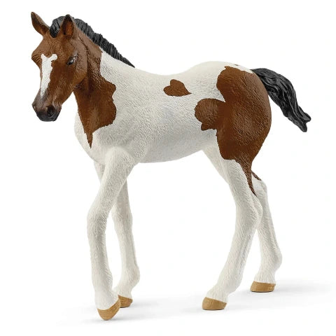 Schleich Paint Horse Foal - Treasure Island Toys