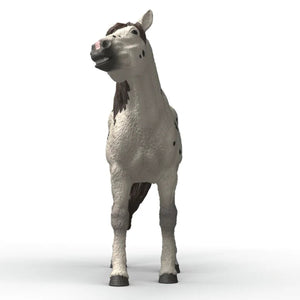 Schleich Knabstrupper Gelding - Treasure Island Toys