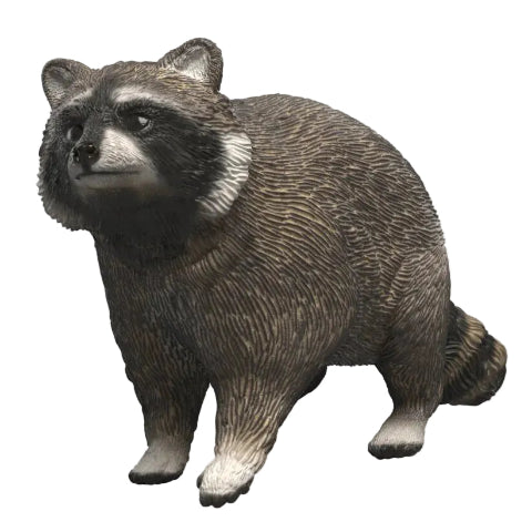 Schleich Raccoon - Treasure Island Toys