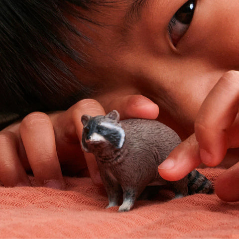 Schleich Raccoon - Treasure Island Toys