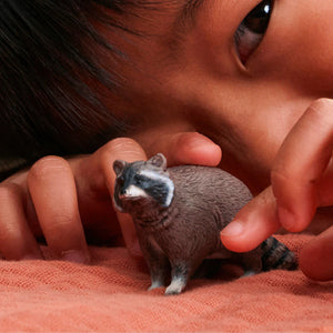 Schleich Raccoon - Treasure Island Toys