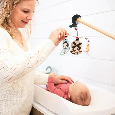 Manhattan Toys Wimmer-Ferguson Infant Stim-Mobile to Go - Treasure Island Toys