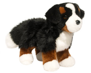 Douglas Cuddle Dog Stevie Bernese Mountain Dog