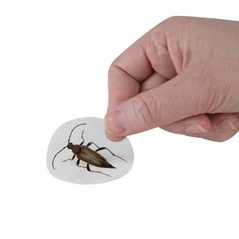 ORB Toys Prank Pack - Treasure Island Toys