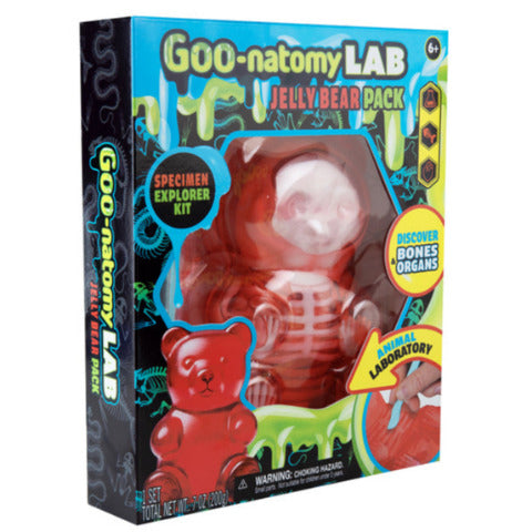 ORB Goo-natomy Lab Jelly Bear Pack - Treasure Island Toys