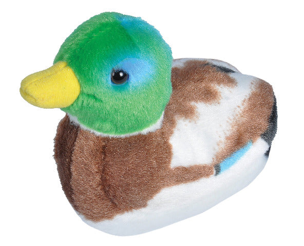 Audubon Birds Mallard Duck - Treasure Island Toys