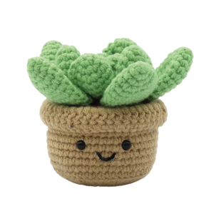 PBI Art DIY Crochet Amigurumi Succulent - Treasure Island Toys