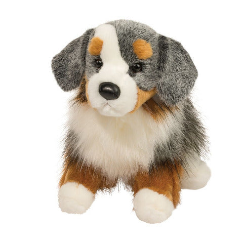 Douglas Cuddle Dog Sinclair Australian Shepherd