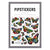 Pipsticks Pipstickers Multicolor Monarchs - Treasure Island Toys