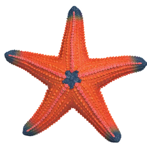 Schleich Starfish - Treasure Island Toys