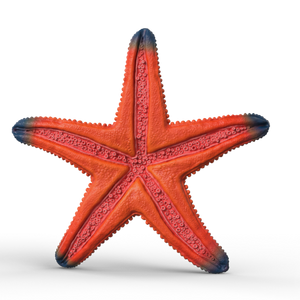 Schleich Starfish - Treasure Island Toys
