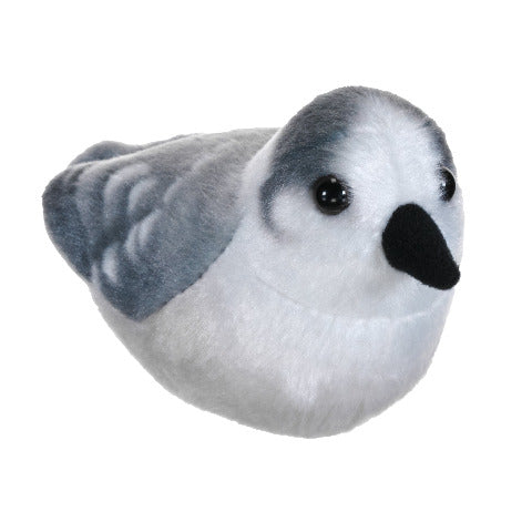 Audubon Birds Canada Jay - Treasure Island Toys