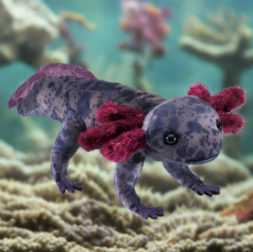 Folkmanis Puppet - Axolotl, Black - Treasure Island Toys