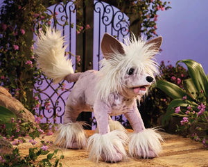 Folkmanis Puppet - Chinese Crested Dog - Treasure Island Toys