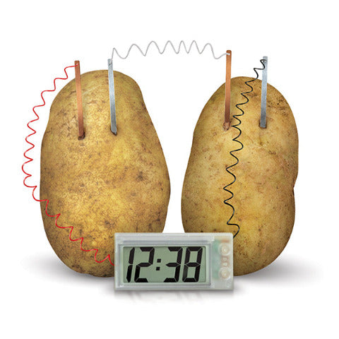 4M Green Science Potato Clock - Treasure Island Toys