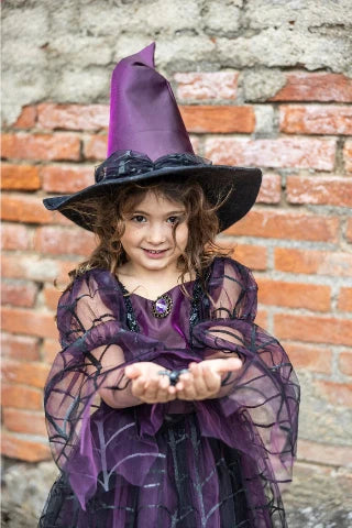 Great Pretenders Costume - Spider Witch Dress with Hat - Treasure Island Toys