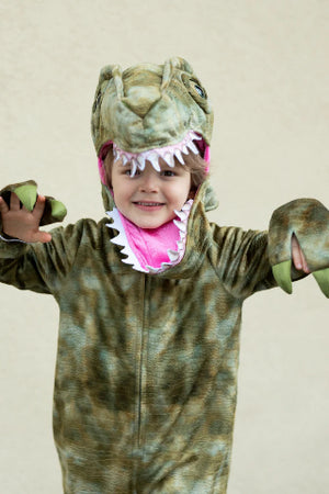 Great Pretenders Costume - A Land Before Mine Raptor, Size 3-4 - Treasure Island Toys