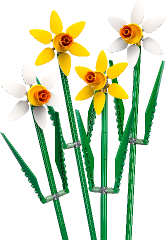 LEGO Icons Botanical Collection Daffodils - Treasure Island Toys