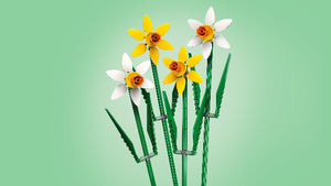LEGO Icons Botanical Collection Daffodils - Treasure Island Toys