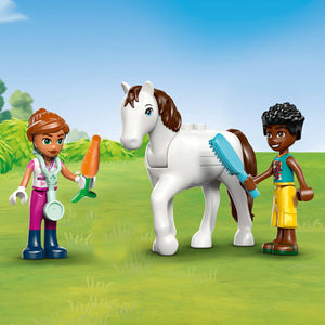 LEGO Friends Animal Vet Clinic