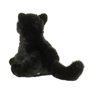 Douglas Cat Salem Black Cat, Floppy - Treasure Island Toys