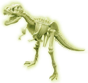 4M KidzLabs Glowing T-Rex Skeleton - Treasure Island Toys