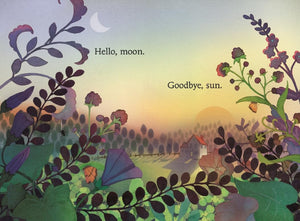 Hello Moon - Treasure Island Toys